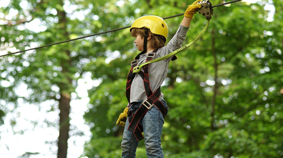 Child climbing between trees